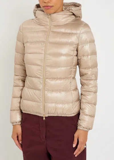 Herno Quilted Shell Jacket In Neutral
