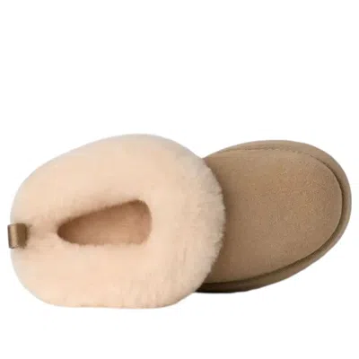 Ugg (gs)  Tazzelle 'mustard Seed' In Brown