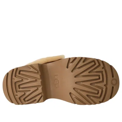 Ugg (wmns)  Esmee Lace-up Boots 'chestnut' In Brown