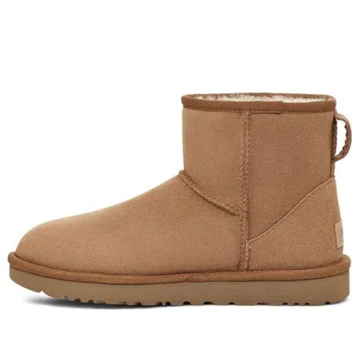 Ugg (wmns)  Classic Mini Regenerate Boot 'chestnut' In Brown