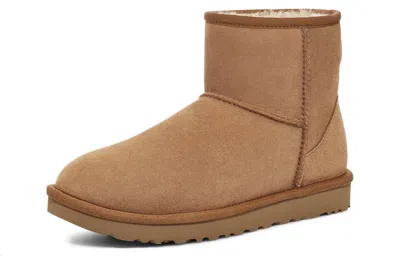 Ugg (wmns)  Classic Mini Regenerate Boot 'chestnut' In Brown
