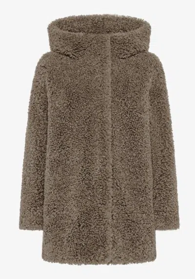 Rrd Hooded Lamb Coat In Brown