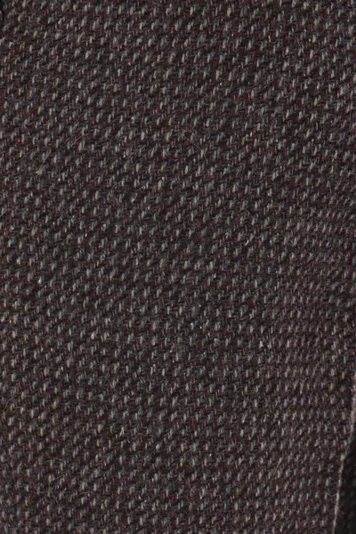 Auralee Trousers In Brown