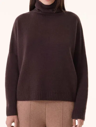 Kujten Cozy Cashmere Turtleneck Sweater In Brown