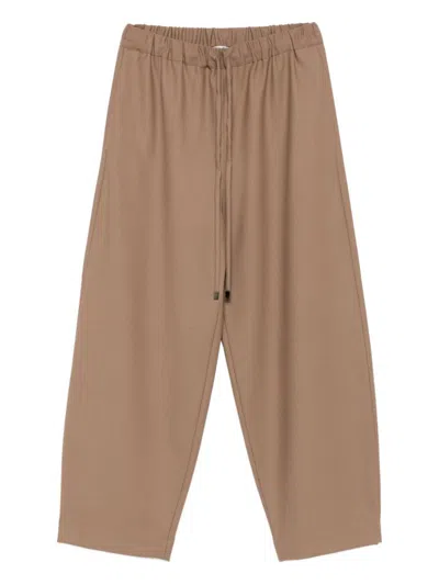 Antonelli Drawstring-waist Trousers In Brown