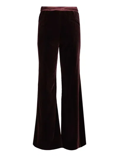 Federica Tosi Pantalone Tasche A Filetto Velluto Pontoglio Trousers Bordeaux In Burgundy