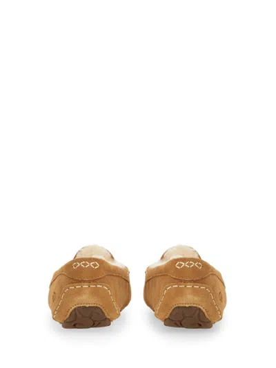 Ugg Slipper Ansley In Brown
