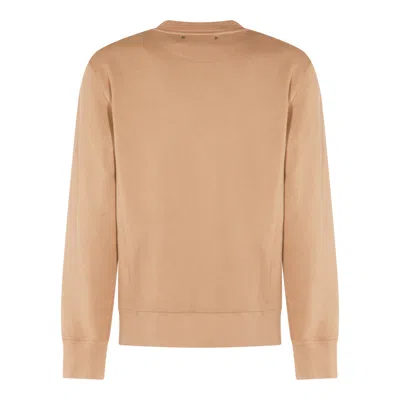 Golden Goose Sweaters Light And Natural In Brown