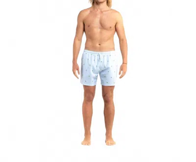 Bermies Palm Stripes Swim Trunk In Blue In Blue
