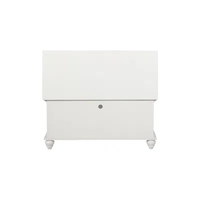 Powell Whitehurst Cedar Chest In White