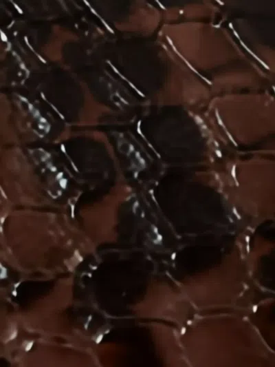 Stella Mccartney Sneakelyse Sneakers In Python Print Polyuretan In Brown