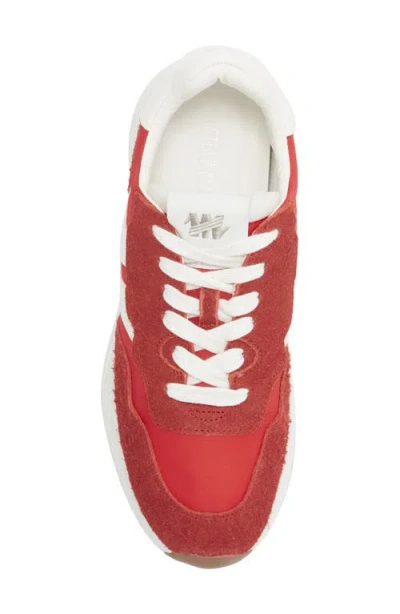Steve Madden Burst Sneaker In Multi