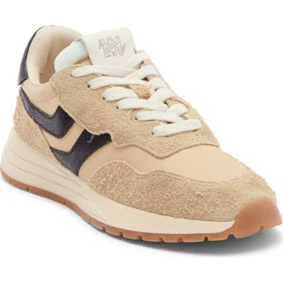 Steve Madden Burst Sneaker In Multi