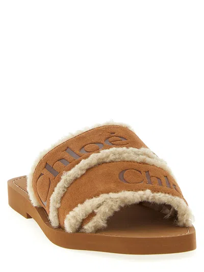 Chloé Chloe' Women Woody Sandals In Brown