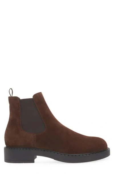 Prada Elastic-panel Suede Chelsea Boots In Brown
