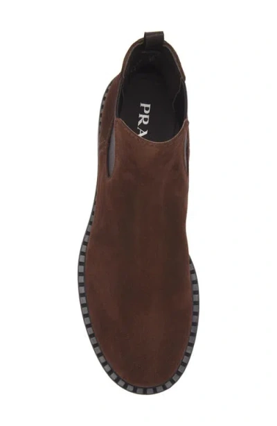Prada Elastic-panel Suede Chelsea Boots In Brown
