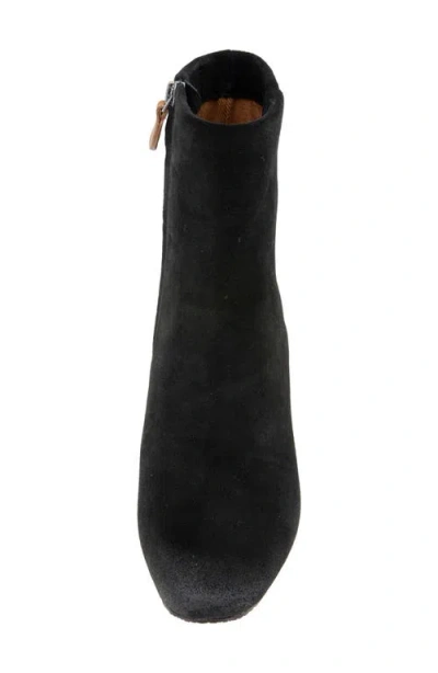 Gentle Souls Women's Nash Zipper Booties In Black