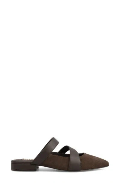 Mia Abie Pointed Toe Mule In Multi