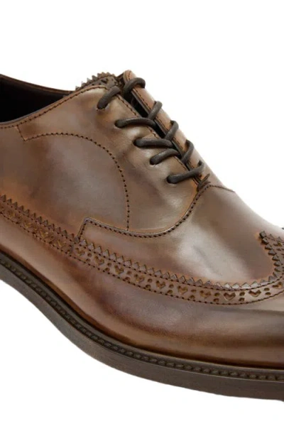 John Varvatos Harrison Longwing Leather Oxford In Brown