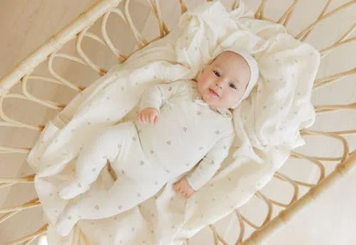 Ely's & Co. Embroidered Collection In Neutral