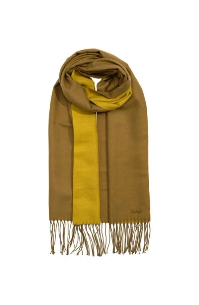Echo Double Face Scarf In Brown