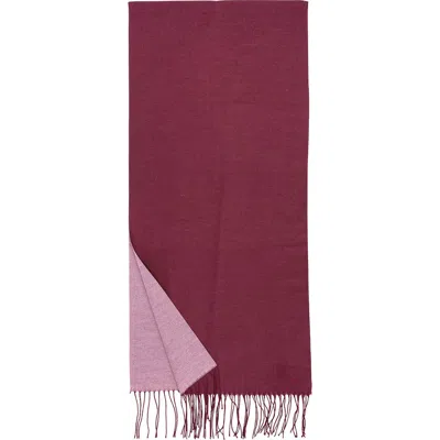 Echo Double Face Scarf In Brown