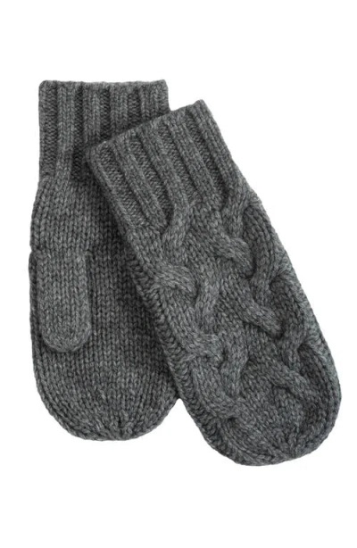 Echo Park Cable Mitten In Gray