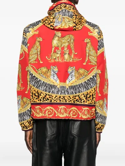 Versace Wild Cats Windbreaker Jacket In Red