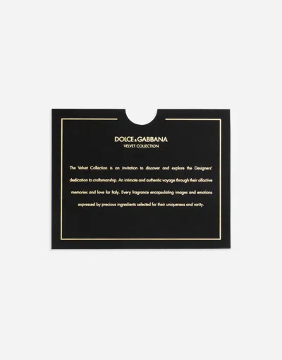 Dolce & Gabbana Velvet Collection Opulent Discovery Set In Multi