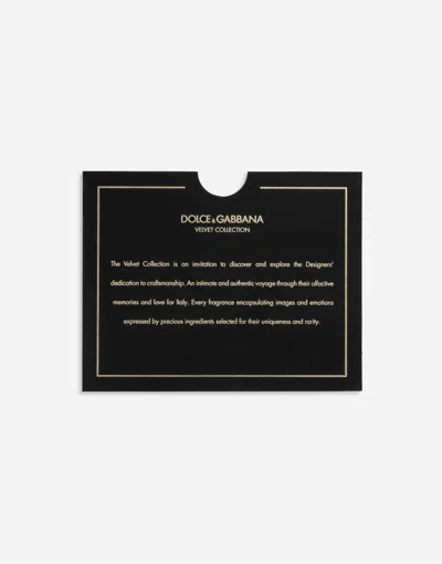 Dolce & Gabbana Velvet Collection Luminous Discovery Set In Multi