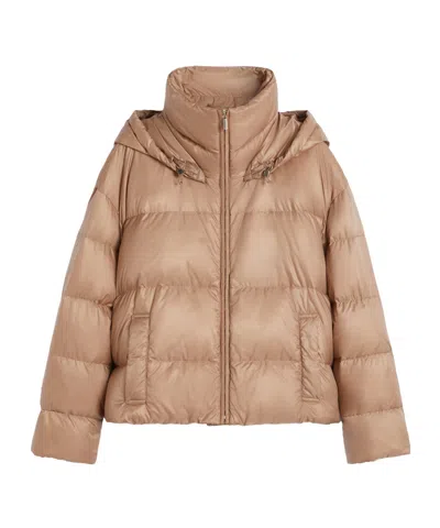 Max Mara Hooded Down Jacket In Water-repellent Fabric In Brown