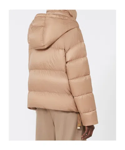 Max Mara Hooded Down Jacket In Water-repellent Fabric In Brown