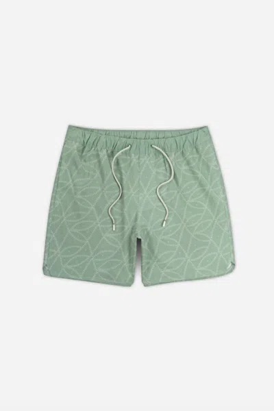Jetty Men's Bayside Pool Short In Sage Green In Green