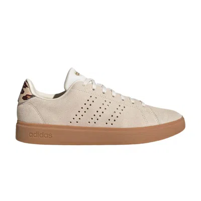 Pre-owned Adidas Originals Adidas Wmns Advantage 2.0 'cheetah Heel' | Cream | Women's Size 8 In White