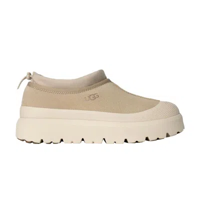 Pre-owned Ugg Tasman Weather Hybrid Slipper 'mustard Seed Cream' | Men's Size 11 In White