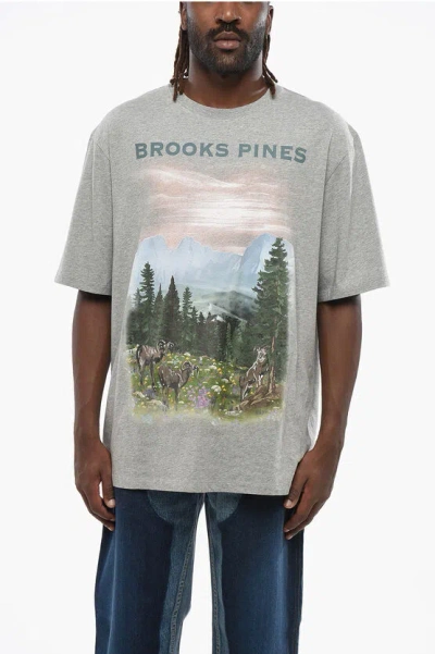 Loewe Printed Loose Fit Brooks Pines Crew-neck T-shirt In Gray