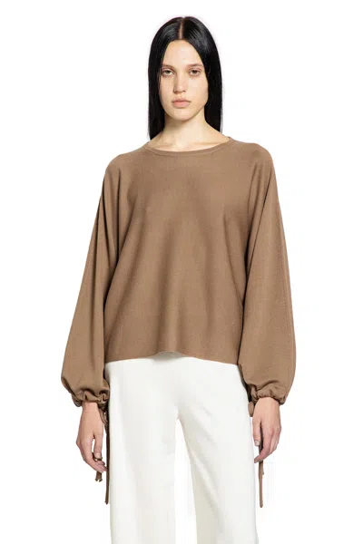 Max Mara Fine Wool Yarn Sweater In Brown