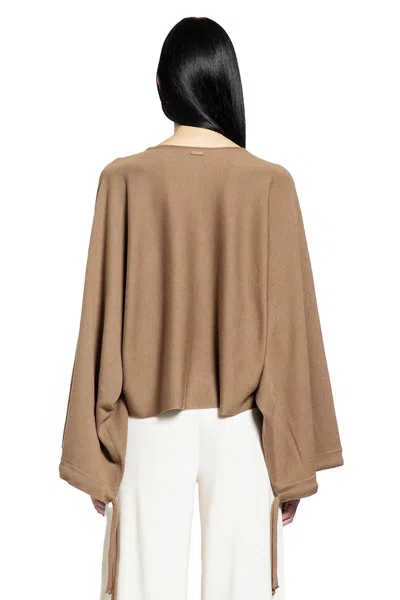 Max Mara Fine Wool Yarn Sweater In Brown