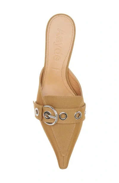 Aeyde Danielle Grosgrain Pointed Toe Mule In Brown