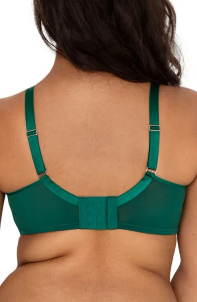 Curvy Couture Full Figure Mesh Underwire Bra In Green
