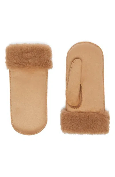 Max Mara Sand Faux Fur Lined Mittens In Brown