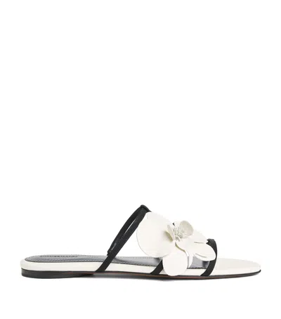 Zimmermann Orchid Slide In Macadamia In White