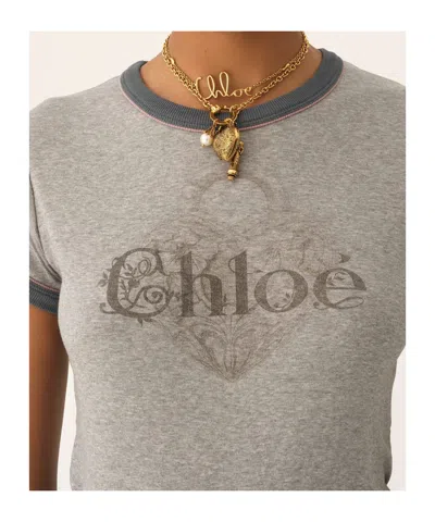Chloé Baby Fit T-shirt With Logo In Cotton Jersey In Gray