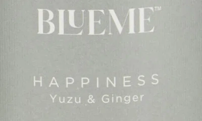 Blueme Happiness Large Reed Diffuser Refill In Gray