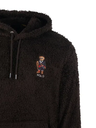 Polo Ralph Lauren Polo Bear Embroidered Hoodie In Brown