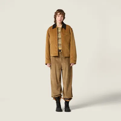 Miu Miu Padded Corduroy Blouson In Brown