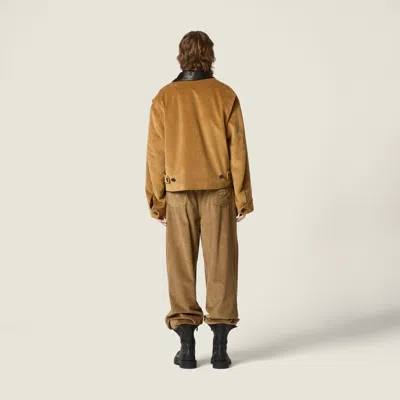 Miu Miu Padded Corduroy Blouson In Brown