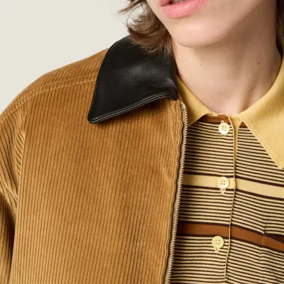 Miu Miu Padded Corduroy Blouson In Brown