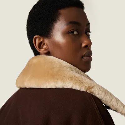 Miu Miu Garment-dyed Wool Blouson With Shearling Collar In Brown