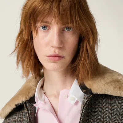 Miu Miu Chevron Blouson Jacket With Shearling Collar In Gray